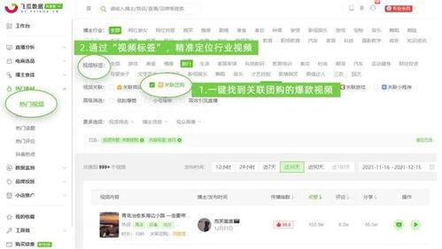 飞瓜数据热门排行榜最新,揭秘短视频流量密码