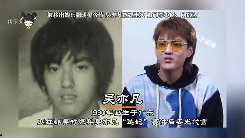 明星网红选妃小说,明星网红的选妃传奇