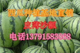 哈米瓜产地今日价,新鲜直供，价格行情一览”