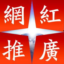 明星网红超市宣传文案,超市购物新潮流