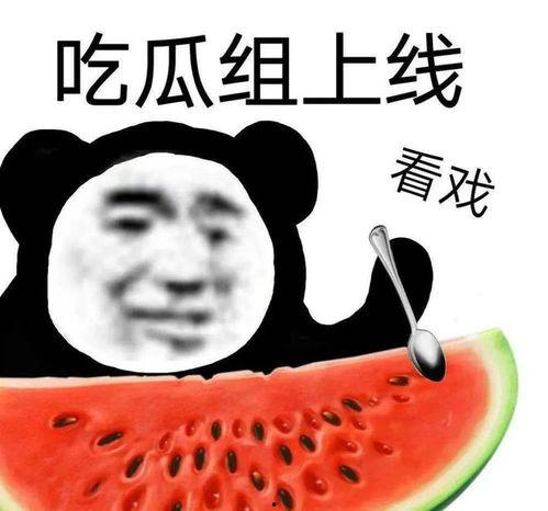 黑瓜吃料网在哪里打开的,黑瓜吃料网神秘入口，带你轻松打开美食世界
