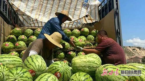 靖远硒砂瓜今日价