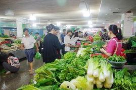 海口瓜菜价格今日价,实惠与丰盈并存