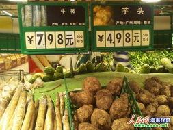 海口瓜菜价格今日价,实惠与丰盈并存
