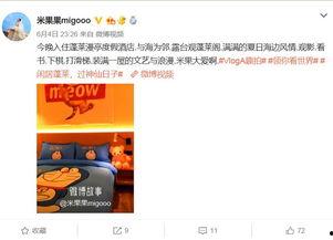 明星网红的打卡基地,明星同款热门基地全解析