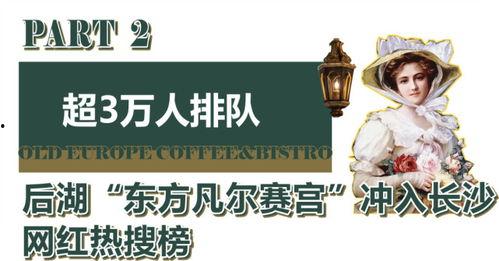 明星网红的打卡基地,明星同款热门基地全解析