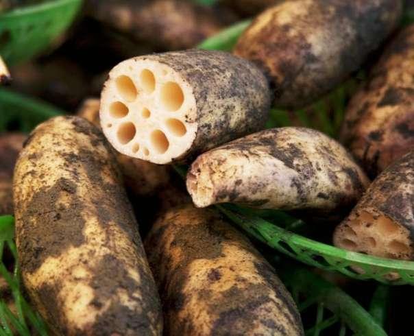 莲下吃瓜最新事件爆料,揭秘背后惊人真相
