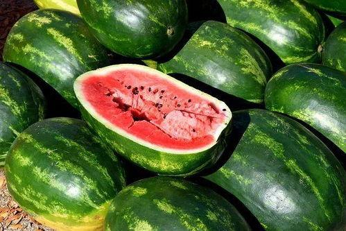 黑粉吃瓜视频大全网,全网热门视频大全盘点