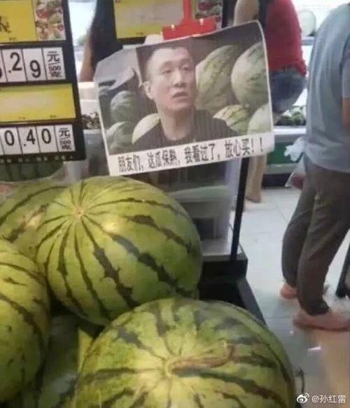 黑粉吃瓜视频大全网,全网热门视频大全盘点