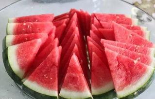 黑粉吃瓜视频大全网,全网热门视频大全盘点