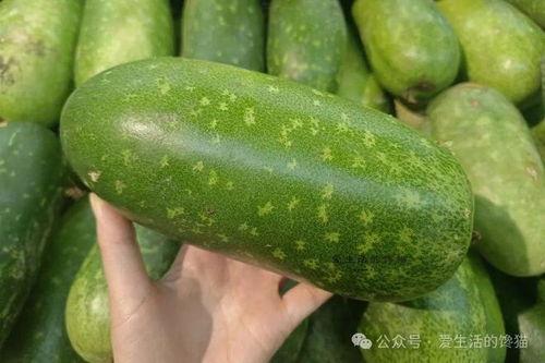 最新热门吃瓜名称是什么,全民热议的焦点事件大盘点
