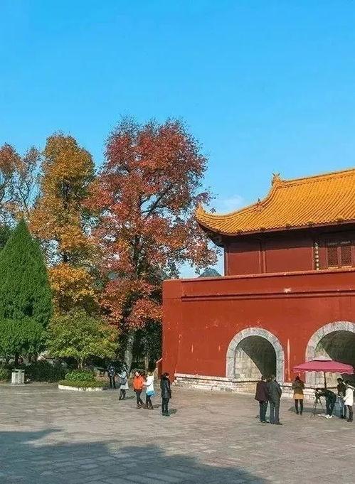 明星网红舜帝陵,网红打卡的古代圣贤足迹