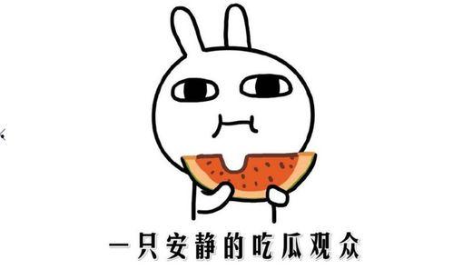 有啥热门吃瓜的网站啊,一网打尽娱乐圈最新动态