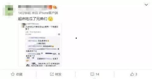 最新吃瓜群众在线爆料网页版,揭秘娱乐圈惊人内幕！