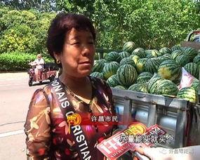 吃瓜群众黑二小,吃瓜群众的传奇故事