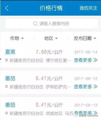 面瓜今日价格查询最新,今日行情一览”