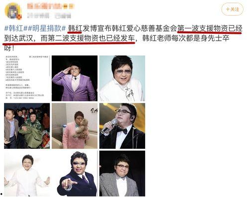 明星网红捐钱名单最新,捐钱名单最新揭晓！”