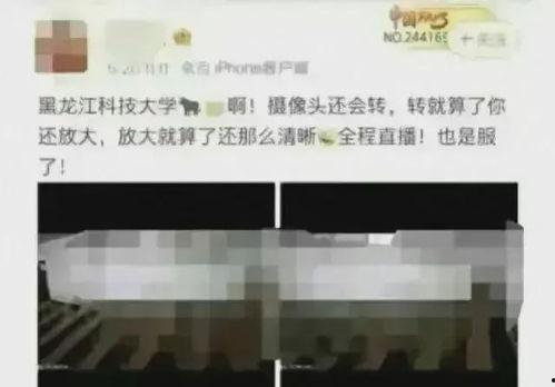 黑科技大学视频吃瓜,揭秘校园生活幕后趣事