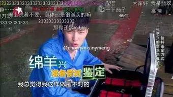 真假明星网红是谁呀,揭秘真假明星网红之谜