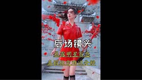 真假明星网红是谁呀,揭秘真假明星网红之谜