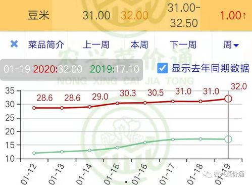 今日通海小瓜价格走势,今日市场行情实时解析
