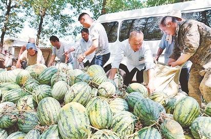 南部县吃瓜爆料事件,揭秘背后真相与争议
