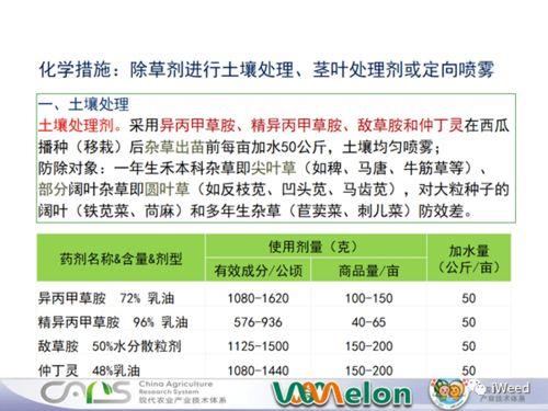 热门话题热点榜尼亚拉瓜,自然灾害频发，国家命运何去何从？