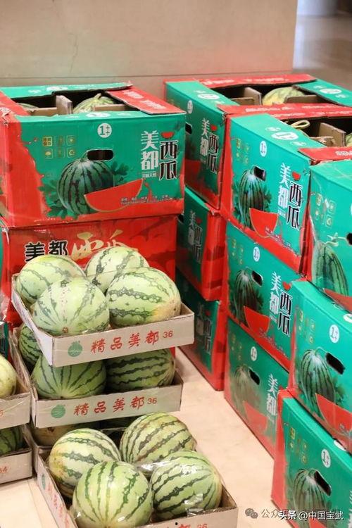 北仑中集吃瓜各种热门事件,瓜田李下，热点事件频出，揭秘背后真相