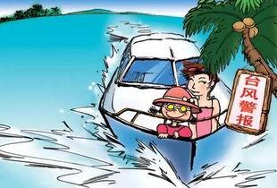 今日瓜台风上不了网,网络中断，生活信息传递受阻