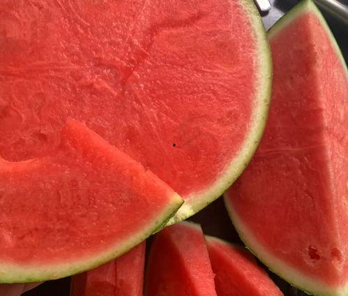 最热门的吃瓜话题有哪些,2023年度最热门吃瓜话题大盘点