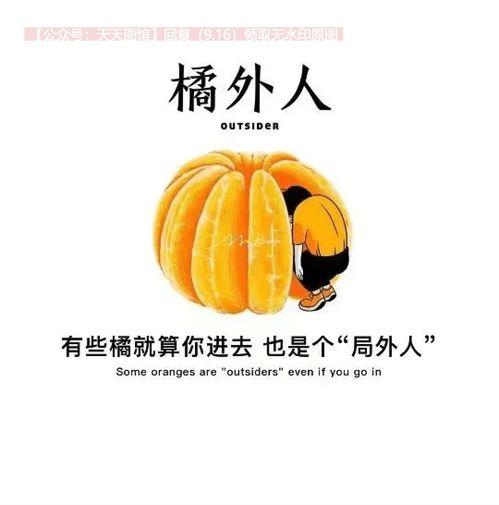 摘吊瓜热门文案搞笑图片,笑果连连，文案搞笑图来袭！