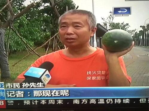 南京热门吃瓜事件是真的吗,南京热门吃瓜事件真相揭秘