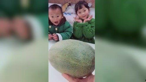 黑哥哥吃瓜,揭秘娱乐圈幕后真相