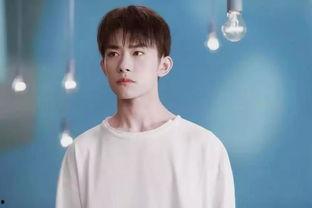 流量明星网红小鲜肉,闪耀娱乐圈的青春力量