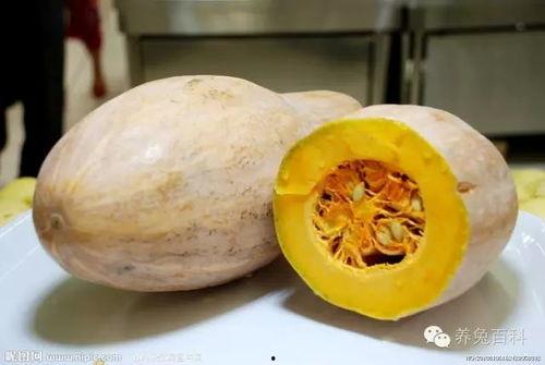 老瓜姐吃黑蒜,黑蒜的独特魅力