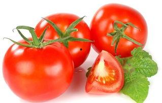 穿书去娱乐圈吃瓜番茄,番茄在娱乐圈的瓜田漫步