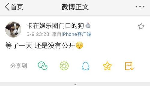 全网吃瓜爆料号是真的吗,揭秘真相还是虚假炒作？