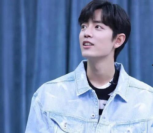 娱乐圈吃瓜爆料贺峻霖,揭秘明星背后的真实故事