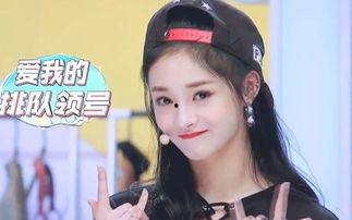 江川江城明星网红,明星网红闪耀，魅力无限之城