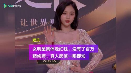 明星网红是什么群体,新时代的社交影响力代表