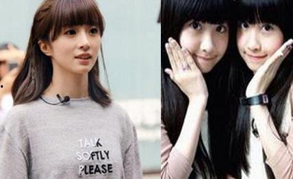 双胞胎明星网红,双生花下的璀璨星途