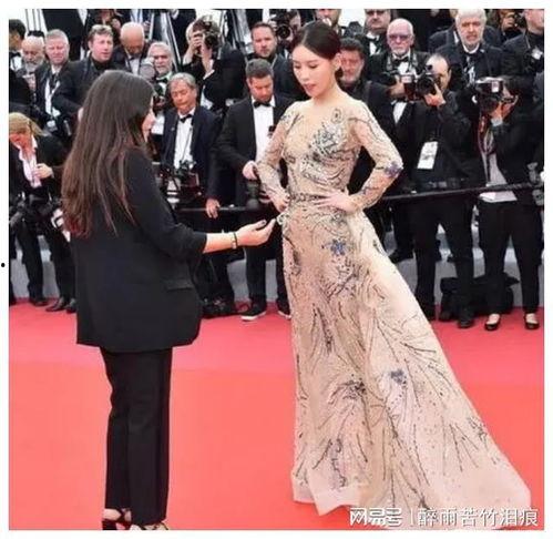 明星网红走红毯区别,明星网红走红毯风格大对比