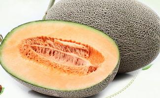 吃哈密瓜会拉黑便嘛,哈密瓜摄入与黑便现象关联探讨