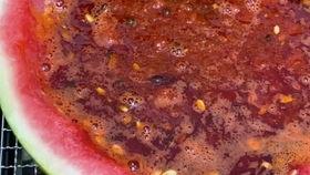 胆囊炎可以吃黑瓜吗吗,胆囊炎患者可适量食用黑瓜