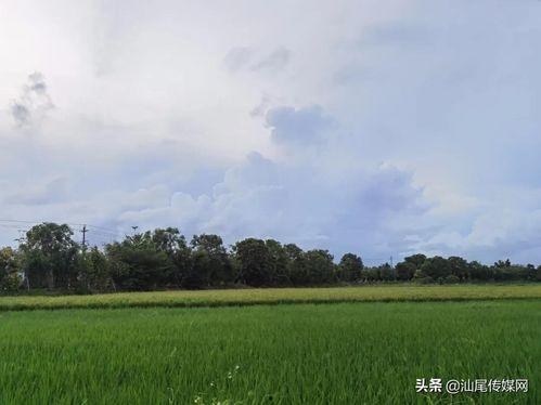 吃瓜爆料网红料不打烊