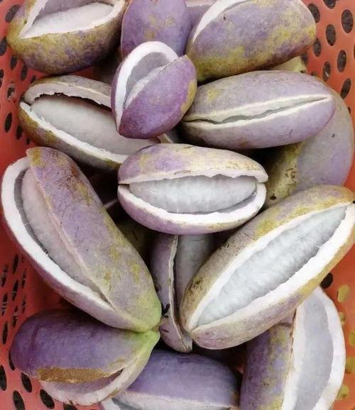 白皮水瓜黑籽可以吃吗,揭秘可食用之谜