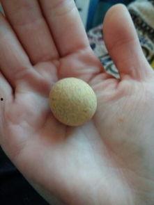 蜜瓜里面有黑籽可以吃吗,可食用之谜揭秘