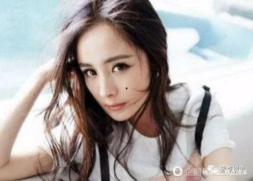 金发明星网红排名,盘点最具影响力的金发明星网红