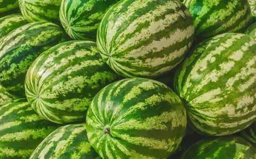 娱乐圈吃瓜要吃就吃个够